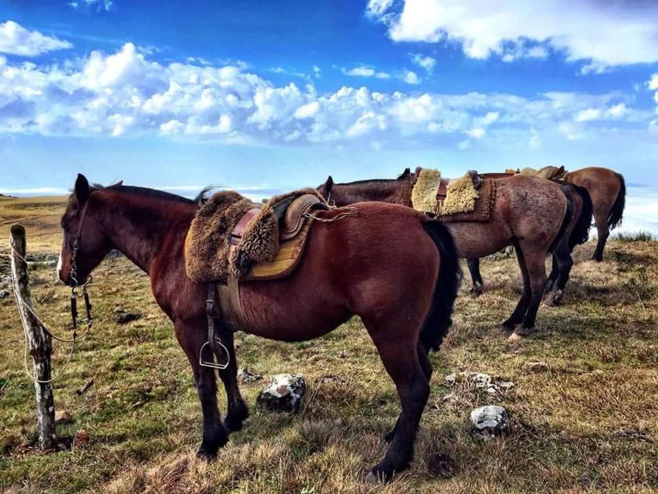 بوم جارديم دا سيرا Paraiso Dos Canions المظهر الخارجي الصورة